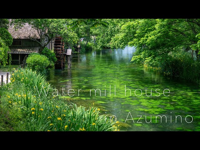 水辺風景】水車小屋と北アルプスの伏流水が織りなす日本の原風景 - YouTube