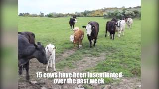 NI BETTER Farm in Co Down