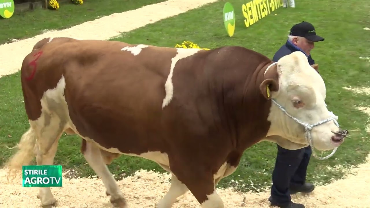 Animale și material genetic cu bani de la UE 16 10 2025