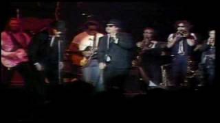 The Blues Brothers Live Video - Soul Man