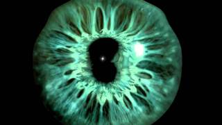 Noise End Rapture - Anew CNF