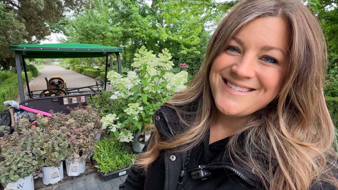 Vanilla Update, Planting Perennials & Hydrangeas in the Entry Garden + Rose Deadheading! 🪴🌿🥀