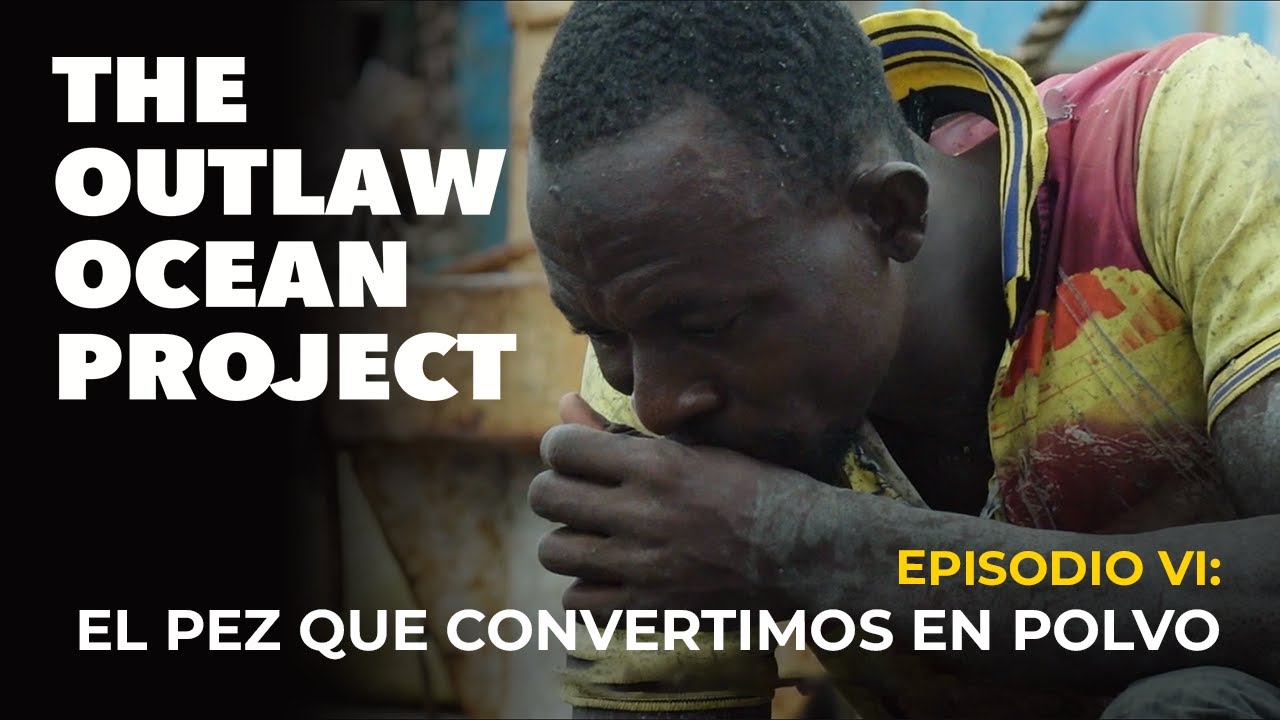 El Desconcierto | https://www.youtube.com/embed/M2nKkGy6CxU