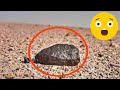 meteorit maroc اجي تشوف بعض الاحجار العجيبة وعلى قول صاحبها ان معضمها احجار نيزكية