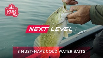 Cold Water Fishing: 3 Must-Have Baits for Winter Bass - @MarkZonaFishing [NEXT LEVEL]