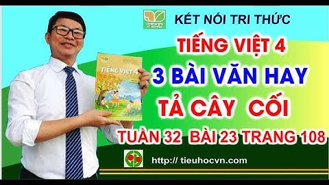 3 bài văn tả cây cối | Tả cây bưởi | Tả cây bàng | Tả cây phượng | Tiếng Việt 4 Bài 23 Tuần 31