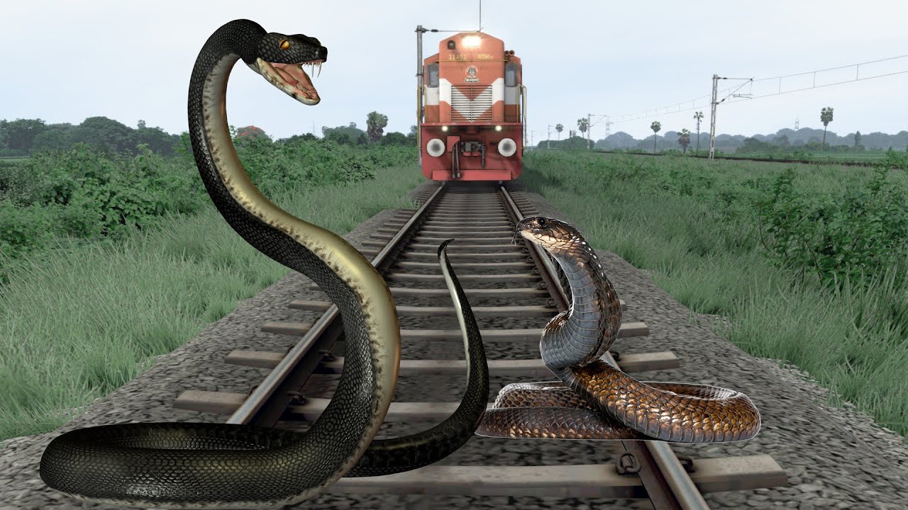 Crazy Two Snake STops High Speed Train And EScapeS In Train Simulator ...