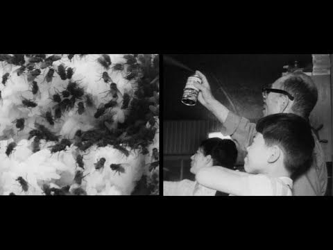 年代物★MOVIE PICTORIAL ファイル1953年✻映画　ムービーレトロ 年代物☆MOVIE PICTORIAL ファイル1953年✻映画 ムービーレトロ