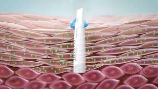 Uraw Kozmetik Ailesi Artık Hepsiburadada