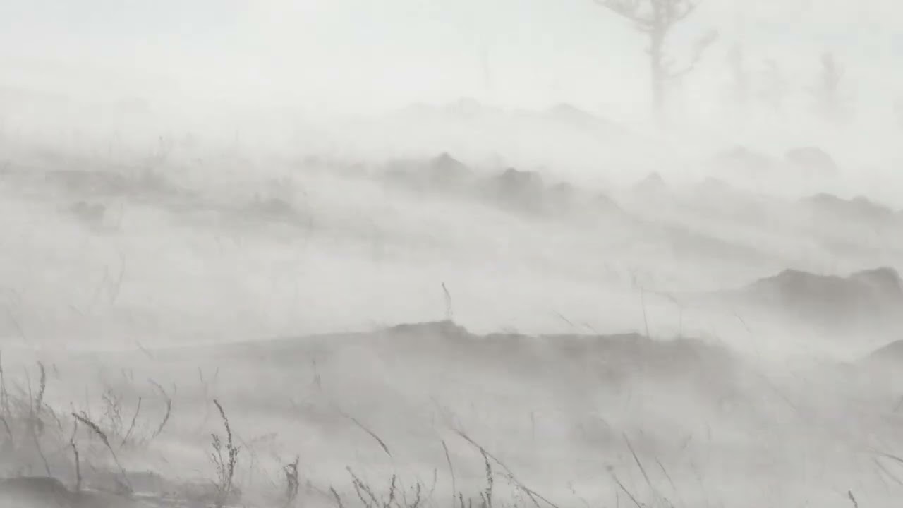 The Science of Snow Formation: From Vapor to Crystal