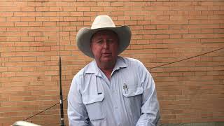 Auctionsplus results