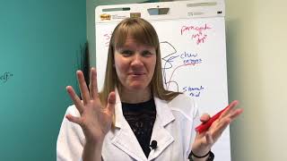 UNDERSTANDING THE FUNCTION OF THE LOWER GI