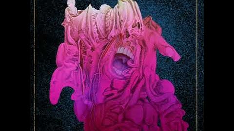 Terminal Function - The Professor