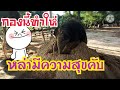 🐘🍼มาดู🐘มิ่งมีความสุข🥰ทุกครั้งเมื่อเจอสิ่งนี้