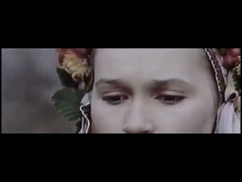 Їхав козак за Дунай Українська пісня