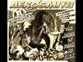 Aerosmith - Freedom fighter