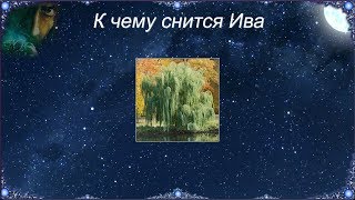 К чему снится Ива (Сонник) К чему снится Ива (Сонник)
