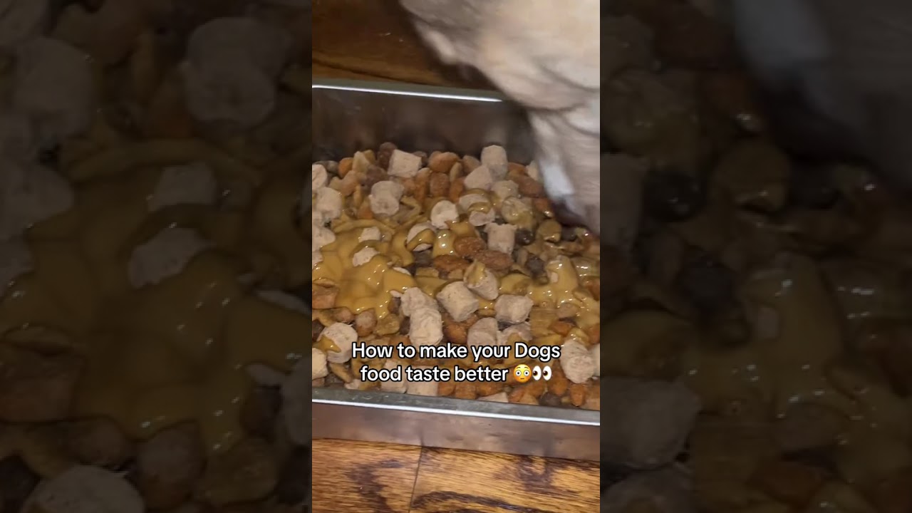 BullyMax - How to Make Your Dog's Food Taste Better