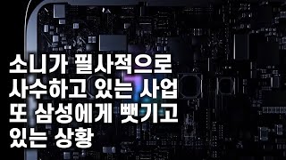 소니가 필사적으로 사수하고 있는 사업. 또 그놈의 삼성에게 잠식당하고 있는 상황