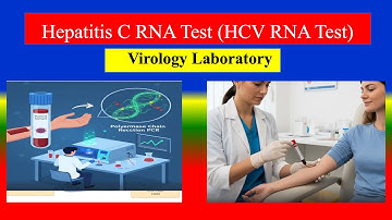 Hepatitis C RNA Test (HCV RNA Test) -  Definition , Uses, Need, Preparation, Results, Normal Values