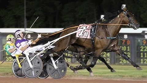 2016 Ben Franklin Pace - Always B Miki