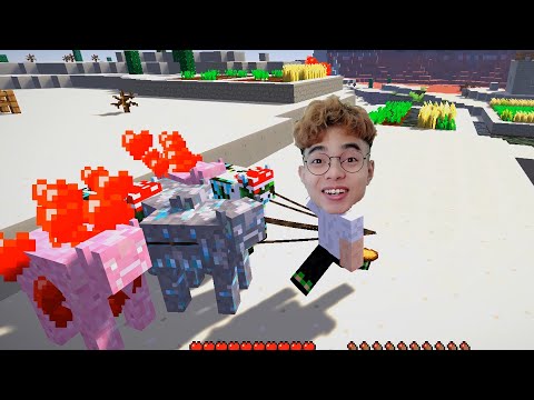 Video ThắnG Tê Tê Đi Chăn Đàn Bò Kim Cương Bò Màu Hồng Nam... - youtube