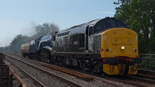 Detalles Class37 diesel locomotive D6851 Flopsie and the iconic steam locomotive No 60007 Sir Nigel Gresley Noticias