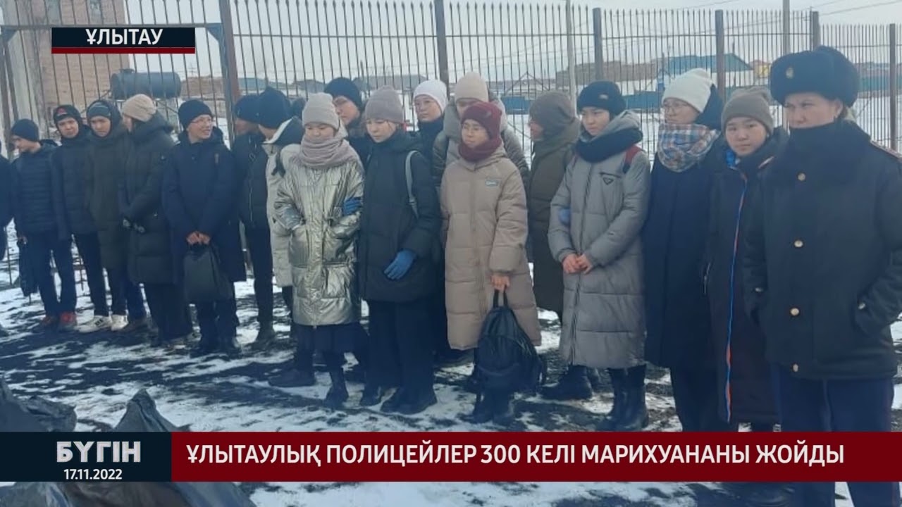 Ұлытаулық полицейлер 300 келі марихуананы жойды
