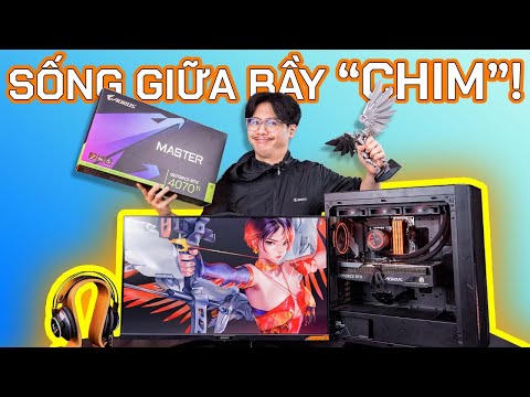 Trải Nghiệm HỆ SINH THÁI GIGABYTE AORUS Với RTX 4070 Ti AORUS MASTER và B760 Gaming X AX