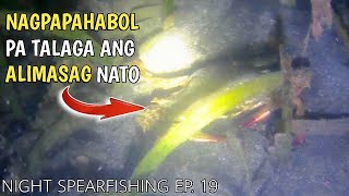 NIGHT SPEARFISHING EP. 19, PAMAMANA NG DANGGIT SA SEAGRASS O DAMONG-DAGAT!