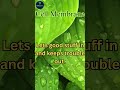 Cell Membrane #vedemy #cell #cellmembrane #membrane #biology