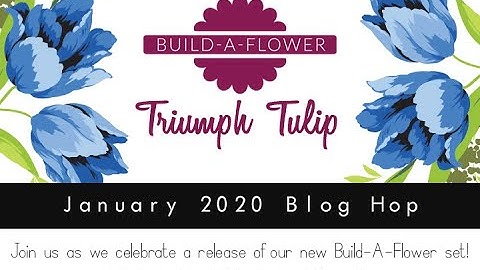 ALTENEW  BAF TRIUMPH TULIP   Process Video