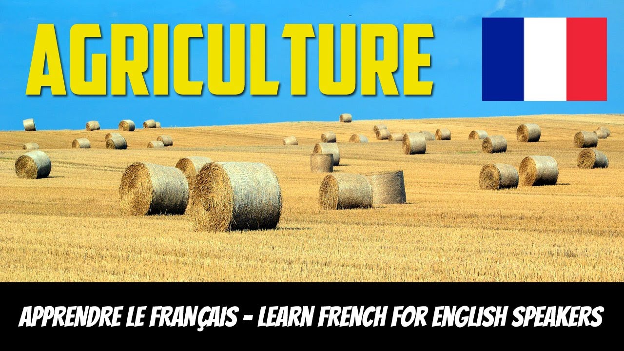 French Agriculture Vocabulary: Essential Terms for Farming, Crops & Rural Life (B1-C1 Level)
