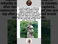 8 Months Pregnant Warrior Hanged 1 Day After Birth! 😱#Heroine #History #Viral #fyp #foryou