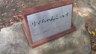 修ちゃんと握手したいあなたに