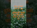 घोड़े की स्पीड Vs कार की स्पीड #facts #amazingfacts #bestfact