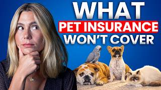 What Pet Insurance Does NOT Cover Most Owners Find Out Too Late