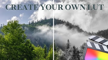 Creating Your Own Custom LUTs in Photoshop for Final Cut Pro & Premiere Pro