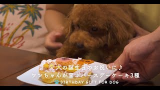 愛犬が喜ぶバースデーケーキ3選！ チーズケーキやお肉でお祝いしよう♪