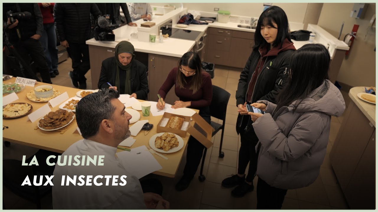 ALIMENTATION | La cuisine aux insectes