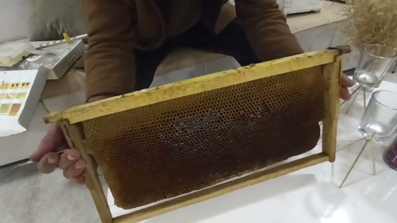 چۆنێتی بەرهەم هێنانی شاهەنگ بە  تەقسیم یان کرم گواستنەوە لە هەنگدا