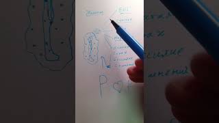 Простая практика ⚗️ Как исполнить желание силой мысли ❤️