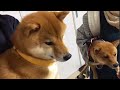 奴らがやってきた