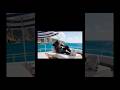 VIRAL AI EDITING SHORT LIKE BONEX FF ☠️ #bonex