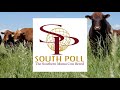 Introduction to South Poll with Teddy Gentry