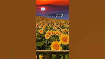 تلاوة خاشعة (سورة الإنسان) اية 5_7 القارئ#نعمة_الحسان
