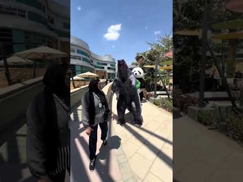 مهرجانات اكسبلور Explore Music مهرجان ضحك الغوريلا ترند Dance 