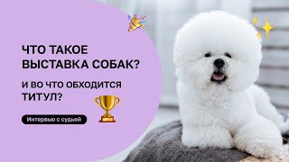 Выставка собак: как получить титул?