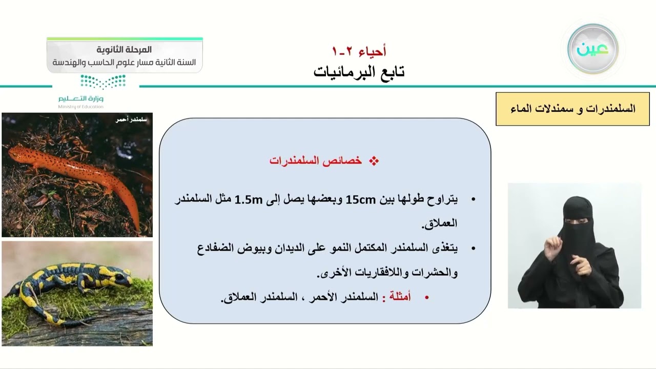 تابع درس 2-2 البرمائيات - الأحياء (2-1) - مسار علوم الحاسب والهندسة - السنة الثانية