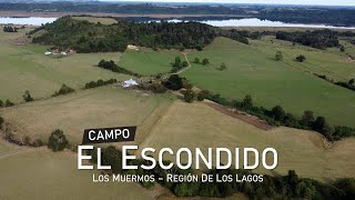 Campo en Los Muermos, El Escondido – Región de Los Lagos
